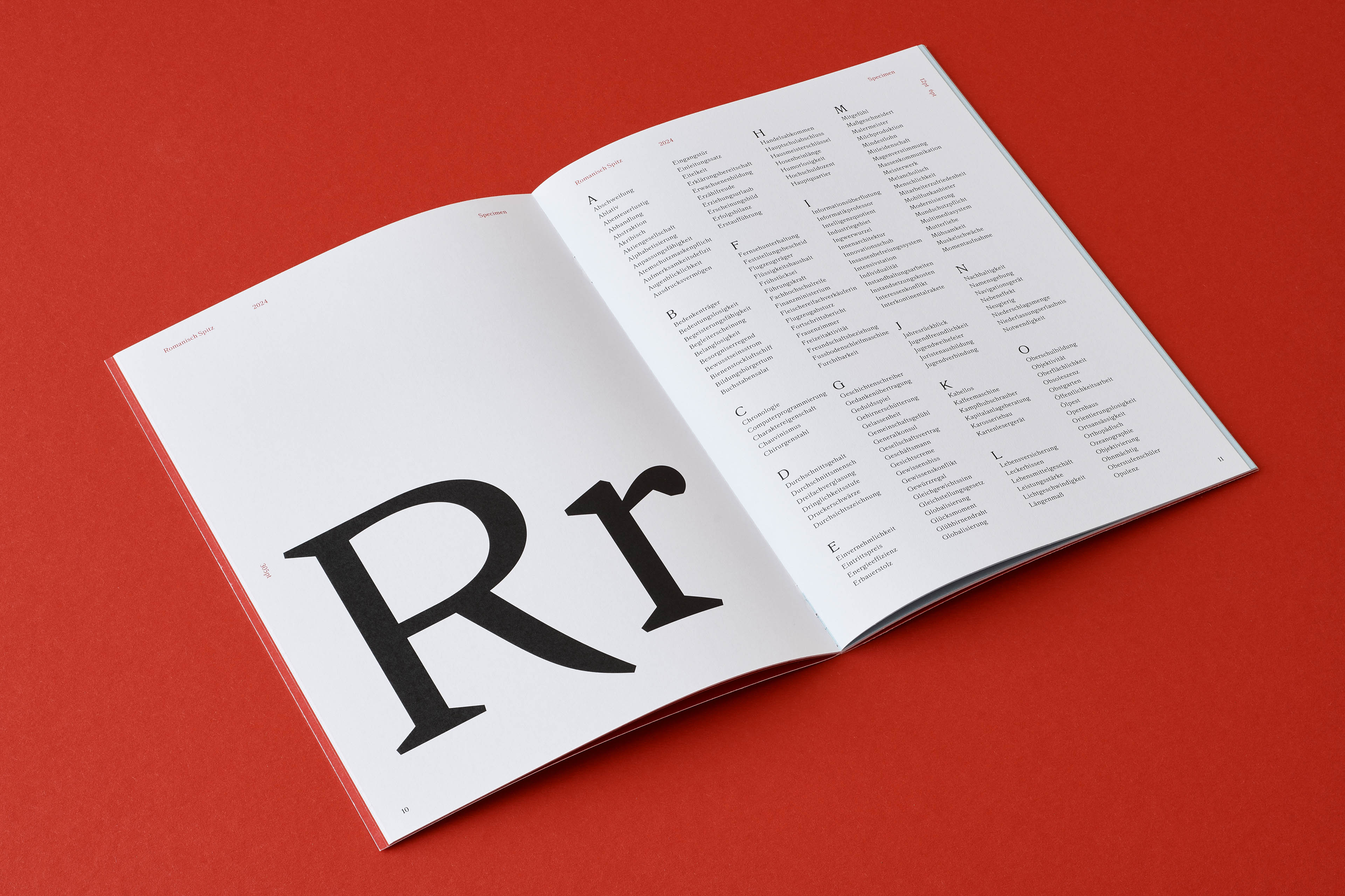 Romanisch Spitz typeface in use - application 3